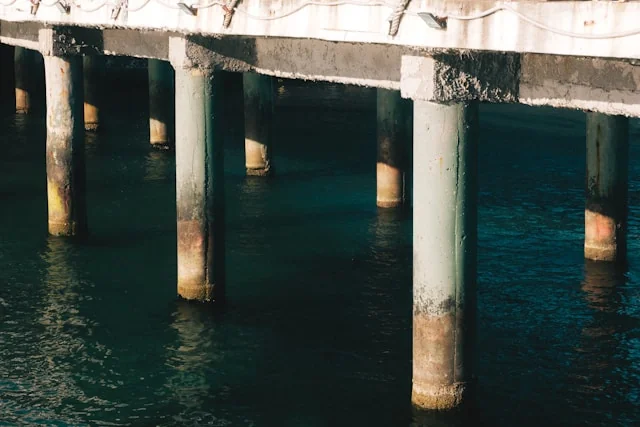 Marine jetty piles standing in water